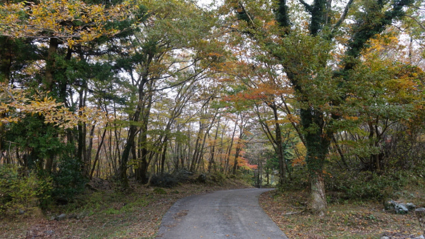 汉拿山(济州岛国家地质公园)한라산 (제주도 국가지질공원)