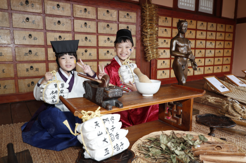 Sancheong Medicinal Herb Festival (산청한방약초축제)