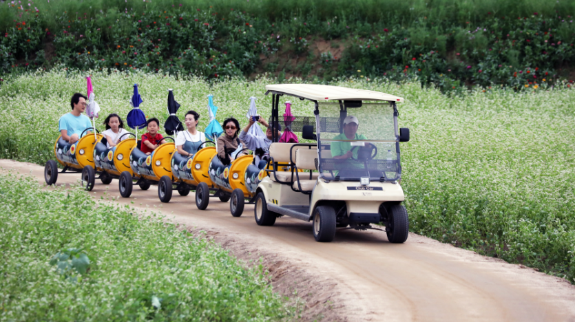 Hyoseok Cultural Festival (평창효석문화제)