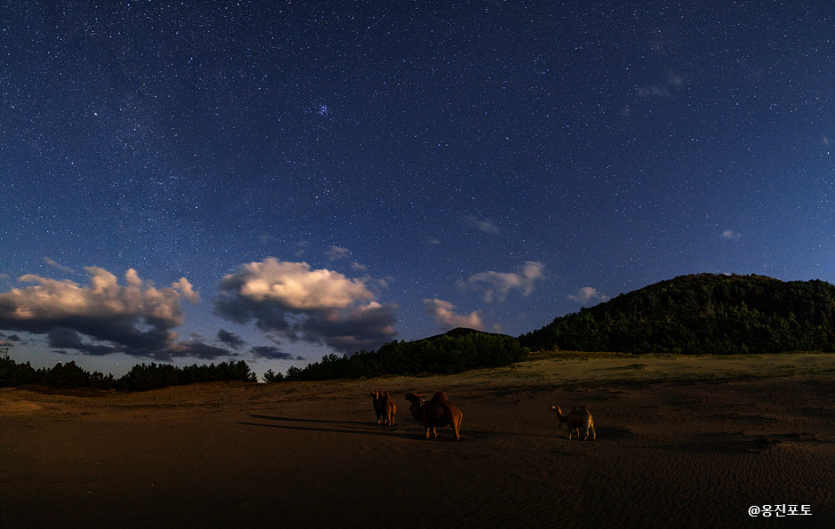 Daecheongdo Island (대청도)