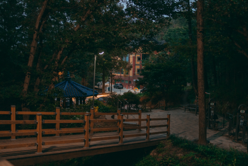 Bomunsan Forest Trail (보문산 행복 숲 둘레길)