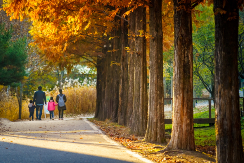 Arboretum de Mulhyanggi (경기도립 물향기수목원)