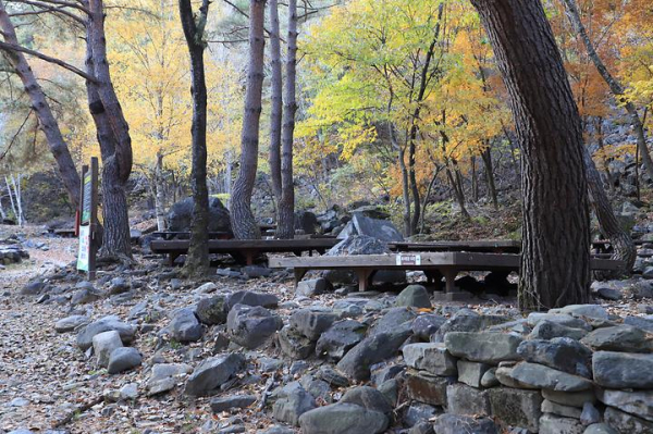 국립가리왕산자연휴양림 