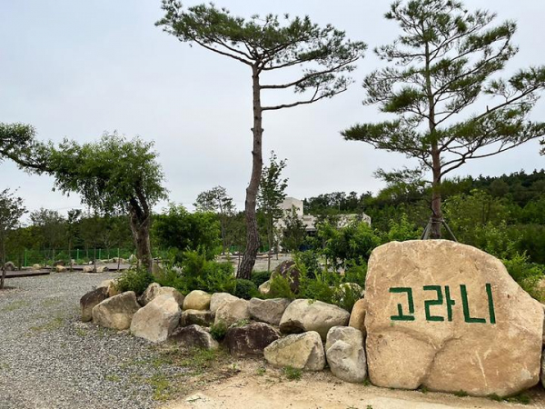 고라니 오토캠핑장