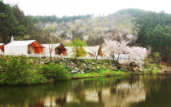 판앤팜 치유정원