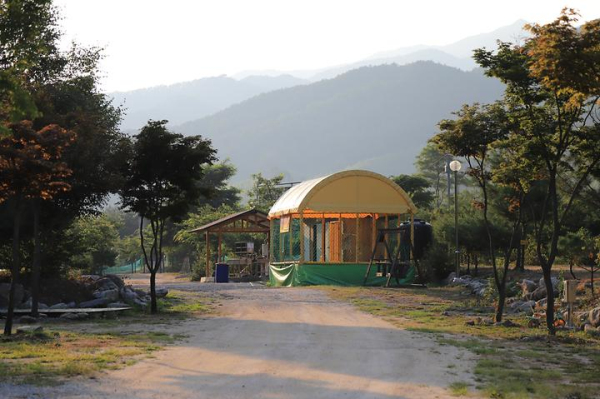 강원도힐링캠핑장 