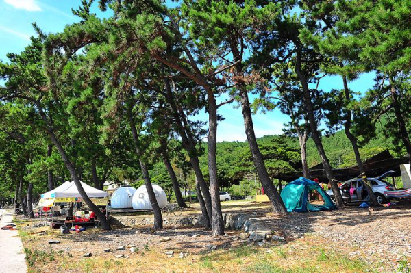 나로힐링캠핑장 