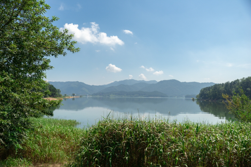 大清湖五百里キル（대청호오백리길）