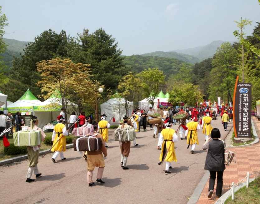 楊平 龍門山山菜祭り（양평 용문산 산나물축제）