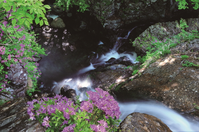 캠핑 레포츠하기 좋은 백학동 마을 코스 [웰촌]