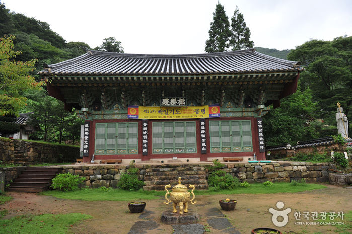 몸과 마음이 즐거운 녹차 테마 투어 몸과 마음이 즐거운 녹차 테마 투어