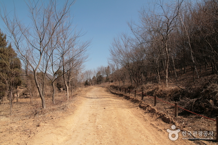 [북한산 둘레길] 10 내시묘역길