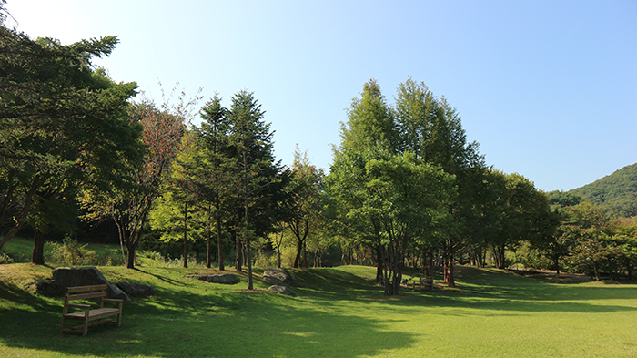 폐허에서도 예술은 꽃 핀다