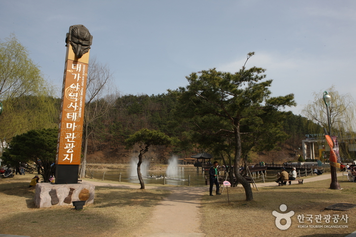 잊혀진 대가야를 만나다
