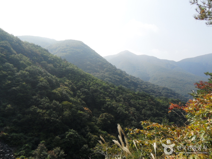 가지산도립공원(밀양)