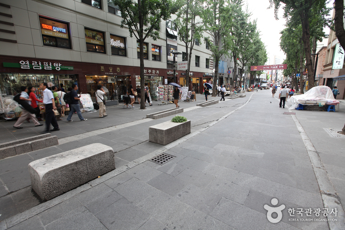 한양의 500년 도읍을 거닐다