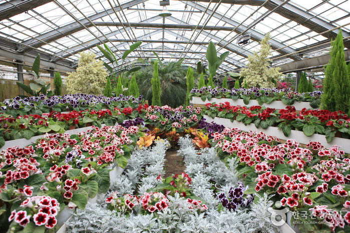 온천의 고장에서 즐기는 스파와 캠핑