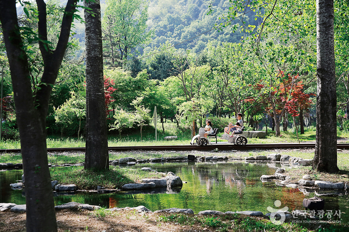 파로호 자전거길로 시작하는 생태여행