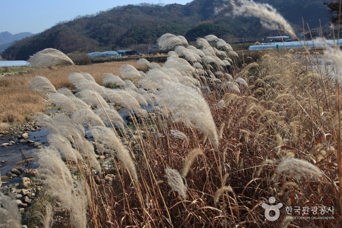[대구올레 팔공산 5코스] 구암마을 가는 길