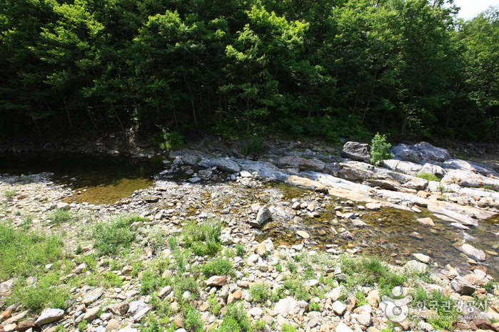 구불구불 고개 너머 만나는 계곡과 휴양림
