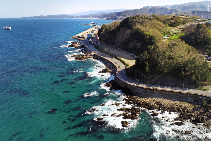 새천년 해안도로, 깊고 푸른 동해 바다를 온몸으로 맞는다! 새천년 해안도로, 깊고 푸른 동해 바다를 온몸으로 맞는다!