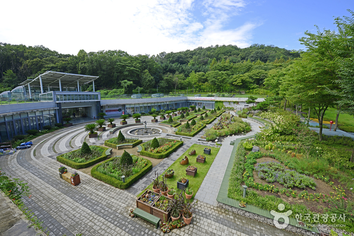 지친 몸과 마음을 달래주는 건강여행