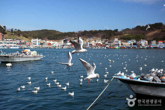부산의 자연생태 체험 코스 부산의 자연생태 체험 코스