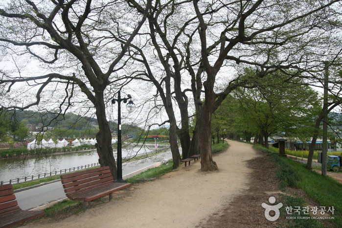 대나무 숲에서 즐기는 캠핑여행 대나무 숲에서 즐기는 캠핑여행