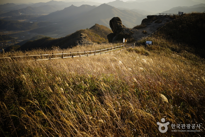 칼바람 잊게 하는 힐링 천국