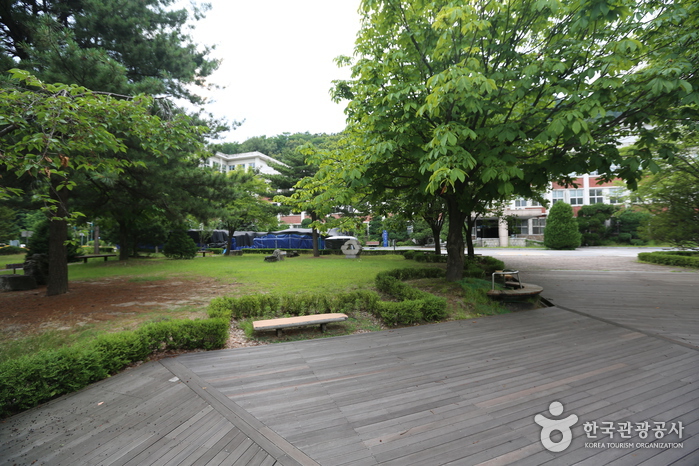 한림대학교박물관