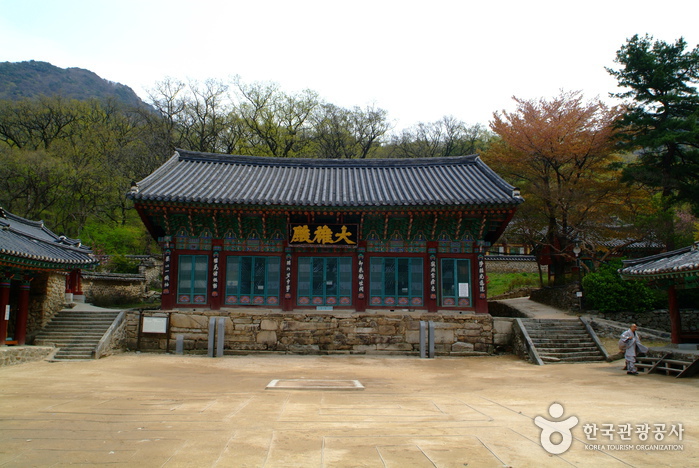 산사에서 21세기 밤하늘의 별과 과학체험을 함께