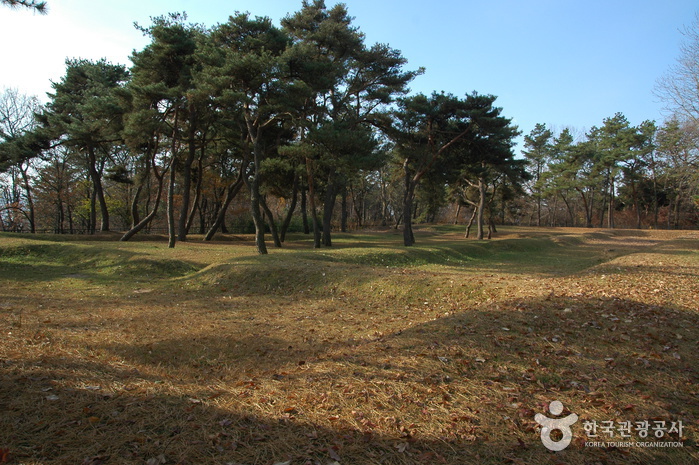백제의 마지막 도읍을 걷다 백제의 마지막 도읍을 걷다