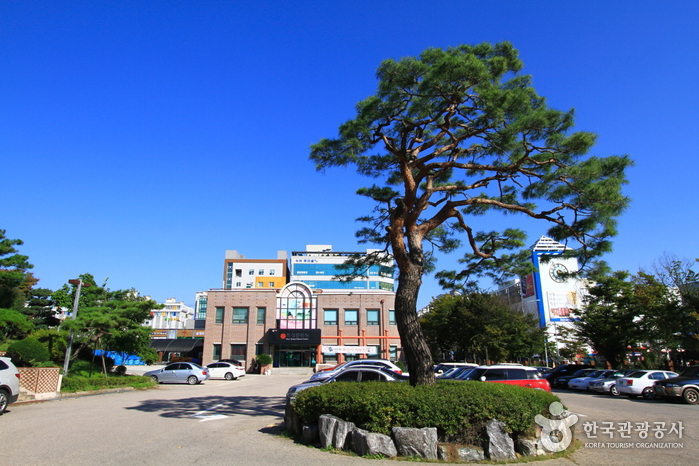 화성문화원
