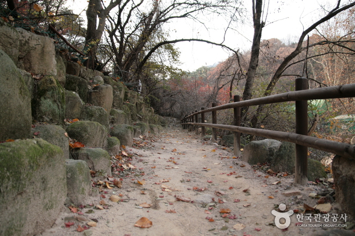 [북한산 둘레길] 1 소나무숲길