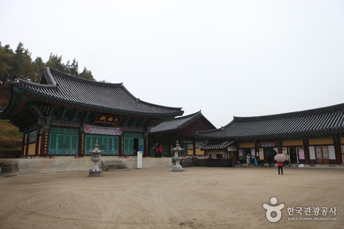 산에서 바다로, 마을 지나 자연으로 향하는 역사기행