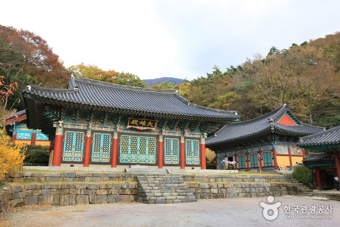 국립공원의 막내, 무등산을 오르다