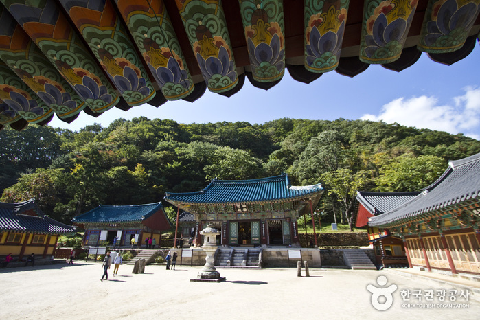 족욕공원, 산책로, 설악산을 품에 안다.