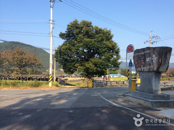 충남 금산 약초 인삼 쇼핑코스