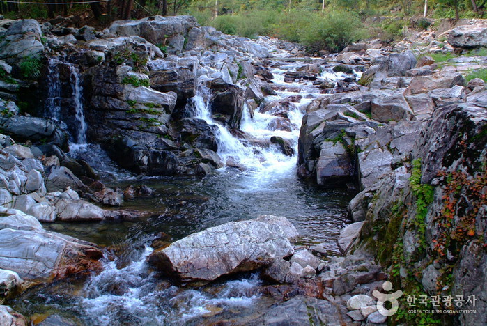 오감만족 평창 봉평 여행