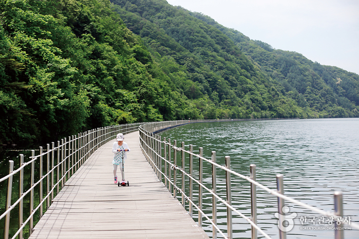 울긋불긋 단풍의 바다에 풍덩