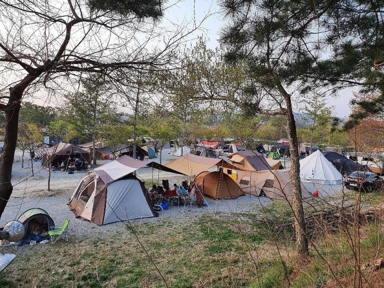 내츄럴리조트캠핑장