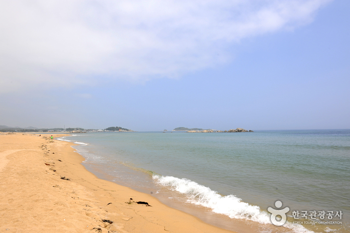 (고성) 타박타박 해파랑길 걸으며, 별미 여행