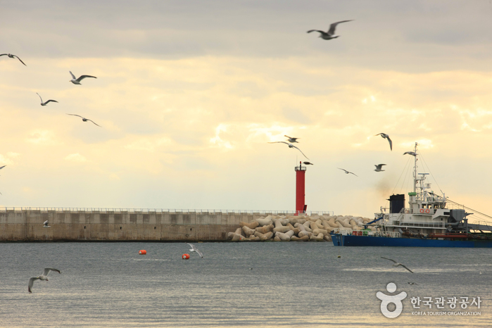 대게의 고장, 영덕대게로를 따라 바다를 즐기다