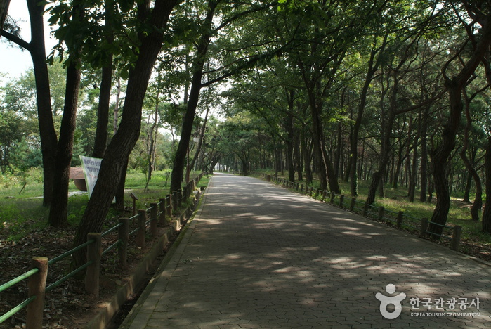 멈춰 쉬고 싶은 곳 충주호 코스