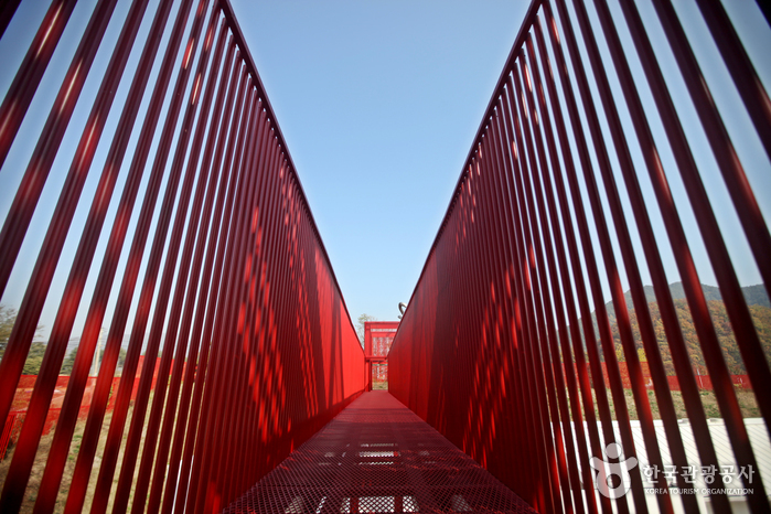 영월의 젊은달와이파크와 함께 SNS 인생 사진 코스