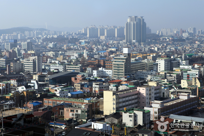 우암산 자락에서 바라보는 청주의 야경