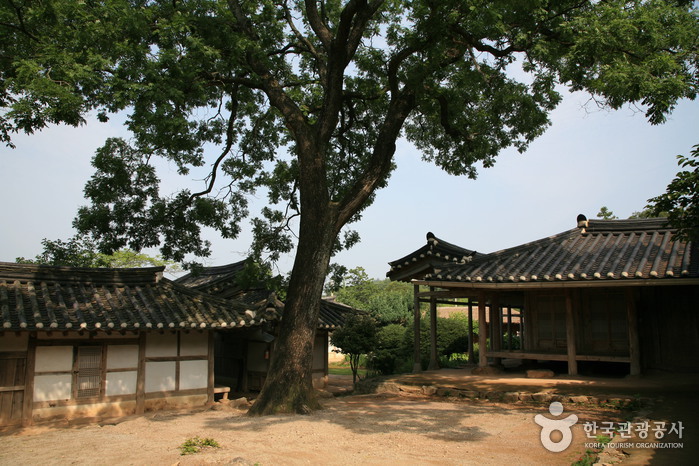 땅끝에서 즐기는 캠핑여행