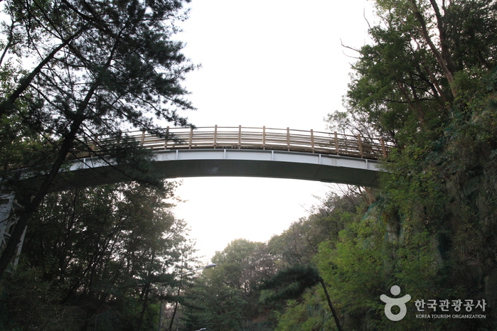 [북악하늘길 3산책로] 북카페~숲속다리