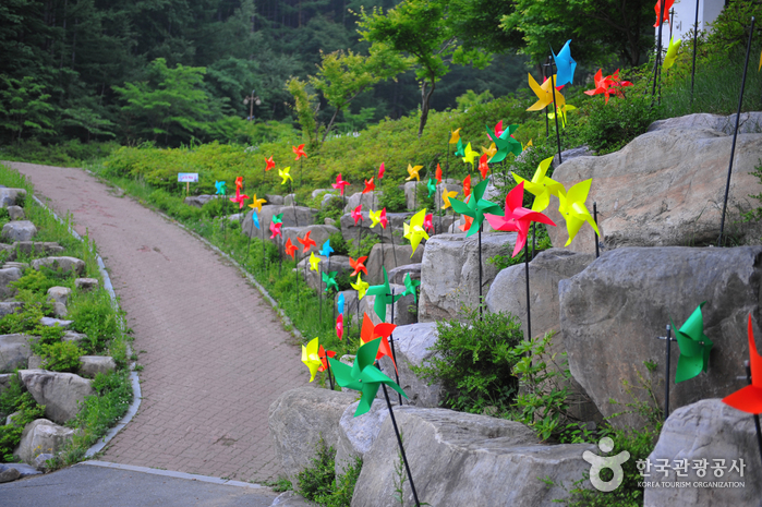 태백산을 마주보고 걷다 태백산을 마주보고 걷다