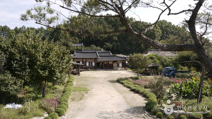 물돌이 무섬마을과 외나무다리를 밟아보다 물돌이 무섬마을과 외나무다리를 밟아보다